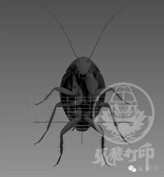 3D打印蟑螂小強誕生記(超精細) 妹紙膽小也可入
3D打印蟑螂,3D打印小強,3D打印技術,3D打印服務,3D打印平臺,e鍵打印