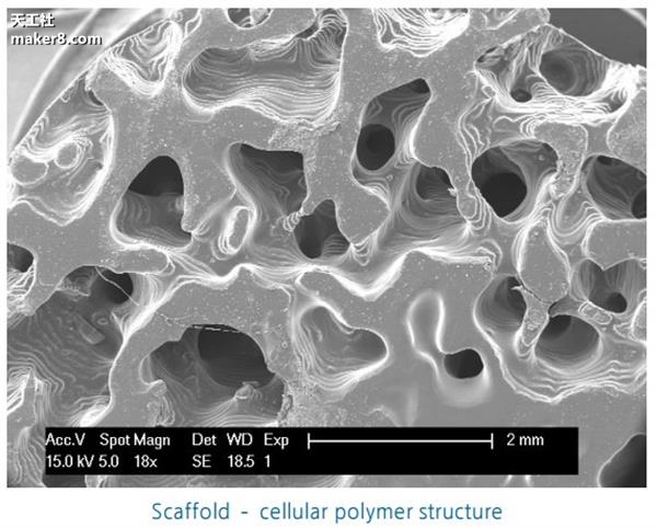 光固化3D打印機又上新臺階 打印質量媲美注塑成型

光固化3d打印機原理,光固化3d打印機,光固化3d打印機教程,光固化3d打印機多少錢,光固化3d打印機技術領域,光固化3d打印機價格區間