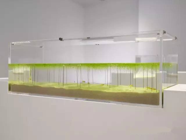 精美3d打印創(chuàng)意作品圖片欣賞 你見(jiàn)過(guò)3D打印的魚缸么?