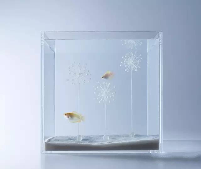 精美3d打印創(chuàng)意作品圖片欣賞 你見(jiàn)過(guò)3D打印的魚缸么?
