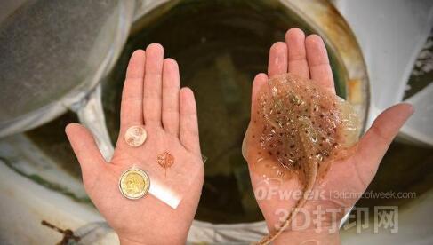 近期這四大3D打印產(chǎn)業(yè)驚人的成果有望改變你的生活.jpg 近期這四大3D打印產(chǎn)業(yè)驚人的成果有望改變你的生活.jpg